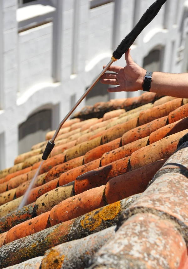 démoussage de toiture 83