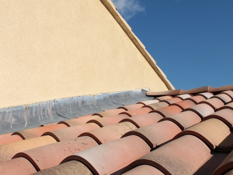 étanchéité de toiture 83