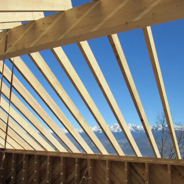 travaux de charpente sur dépendance